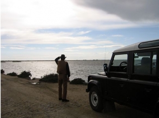Decouverte de la Camargue